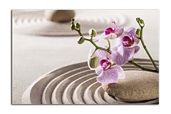 Obraz na stenu ZS - bez pomeru strán